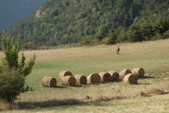 J4_Xbike_Provençal